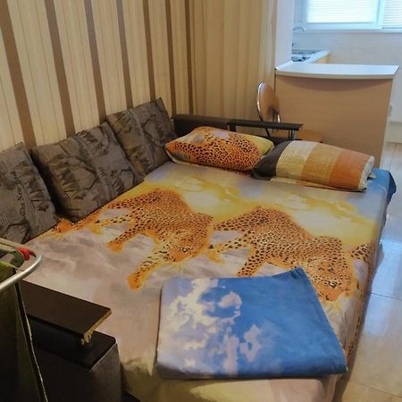 Солнечная Leilighet Kharkiv Eksteriør bilde